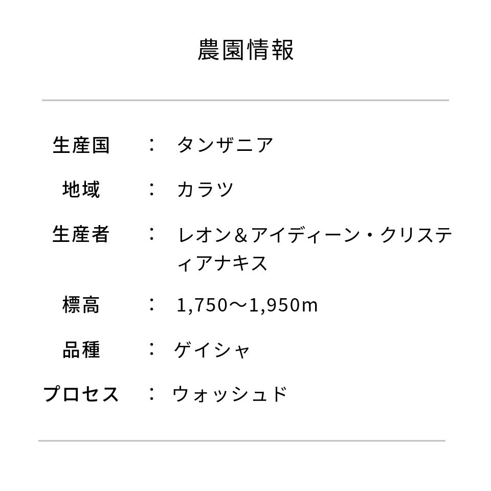 タンザニア アカシアヒルズ農園 ゲイシャ ウォッシュド