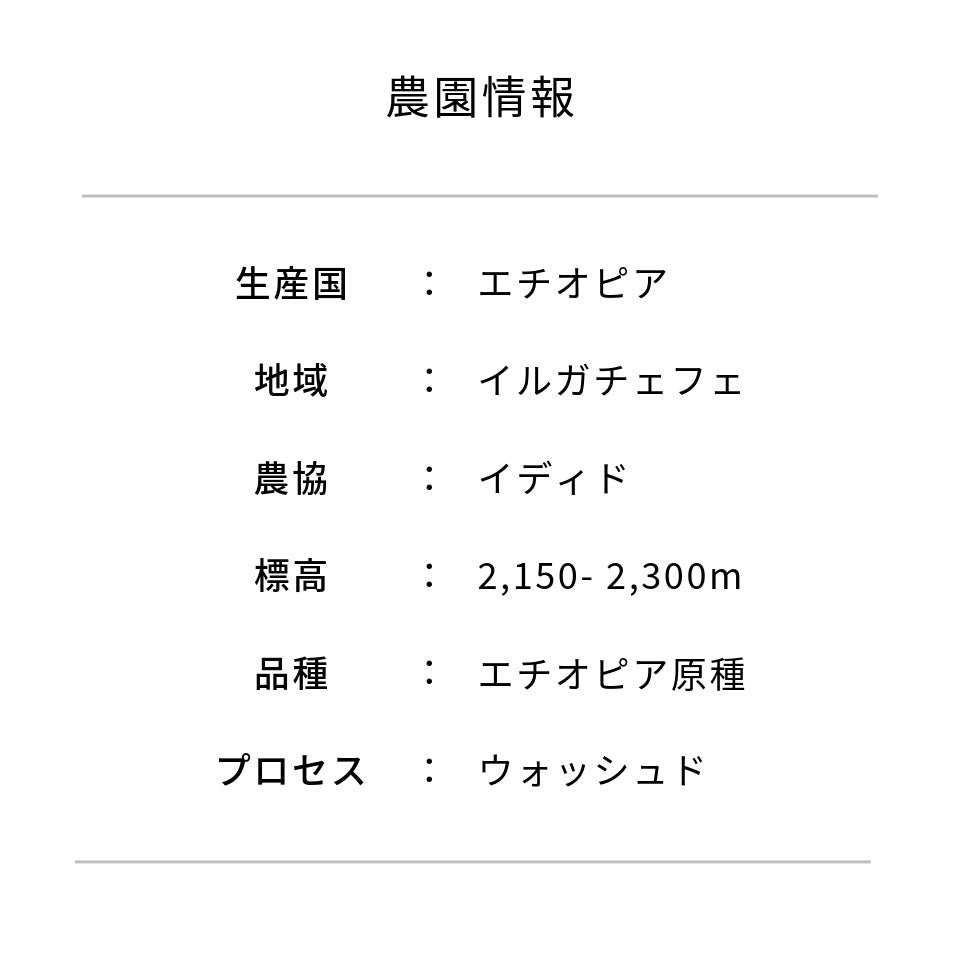 水出しコーヒーパック 「エチオピア イディド」 45g × 6パック