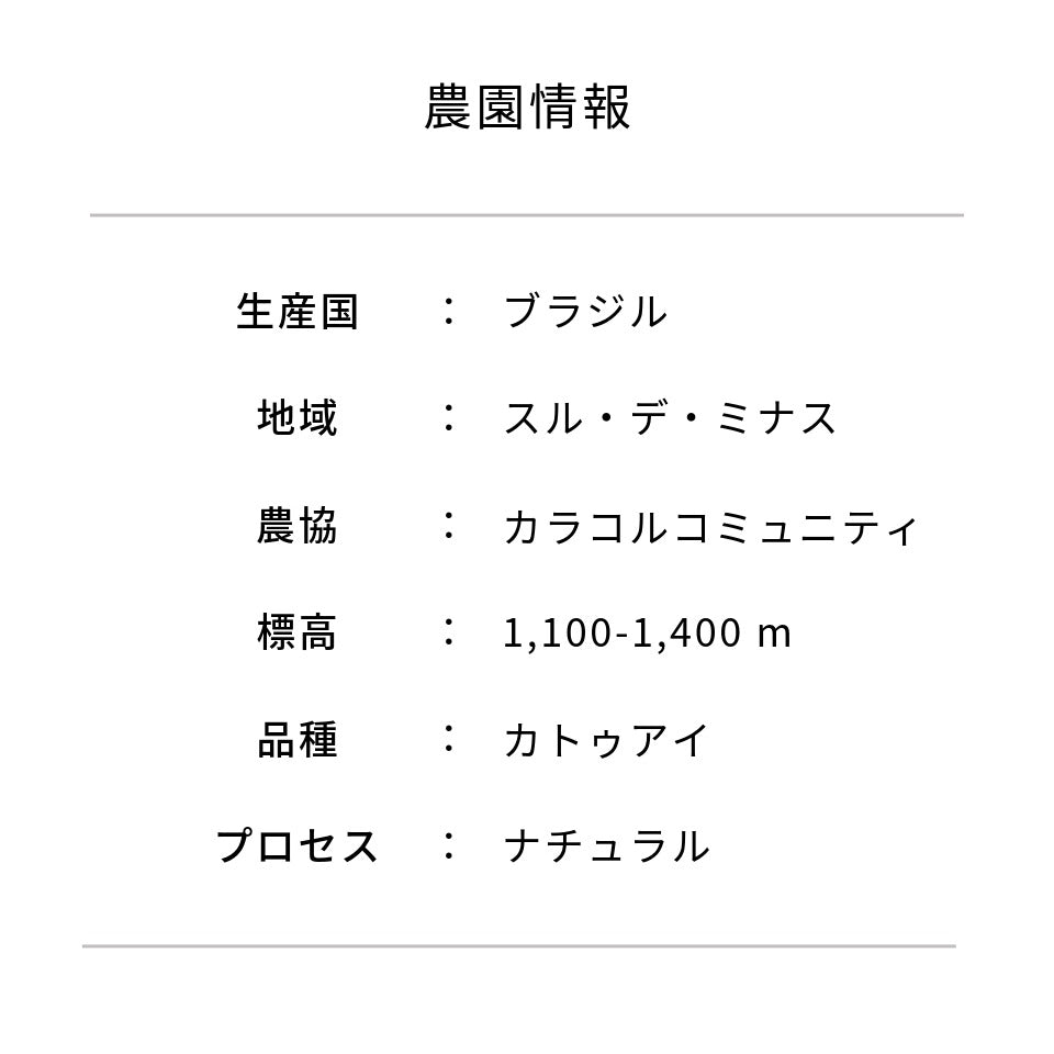 水出しコーヒーパック 「ブラジル カラコルコミュニティ」45g × 6パック