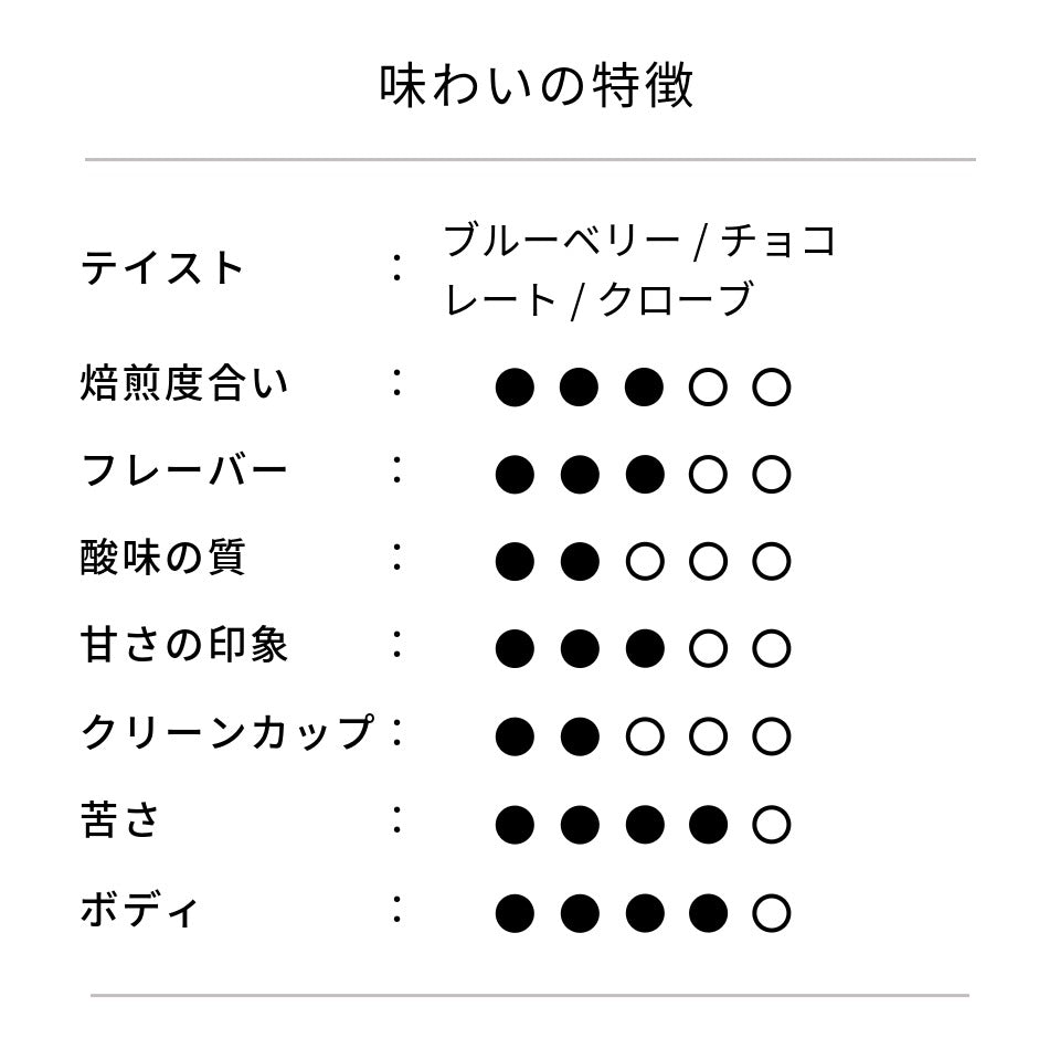 コーヒーバッグ5個セット「MEDIUM BLEND」