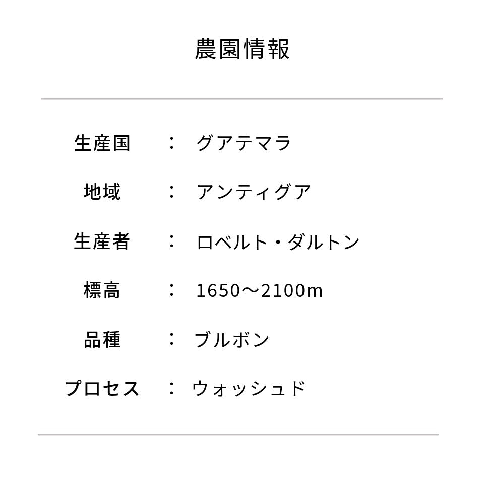 グアテマラ ラ・クプラ農園 ブルボン ウォッシュド
