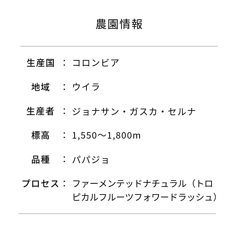 コロンビア サルサ農園 パパジョ トロピカルフルーツフォワードラッシュ