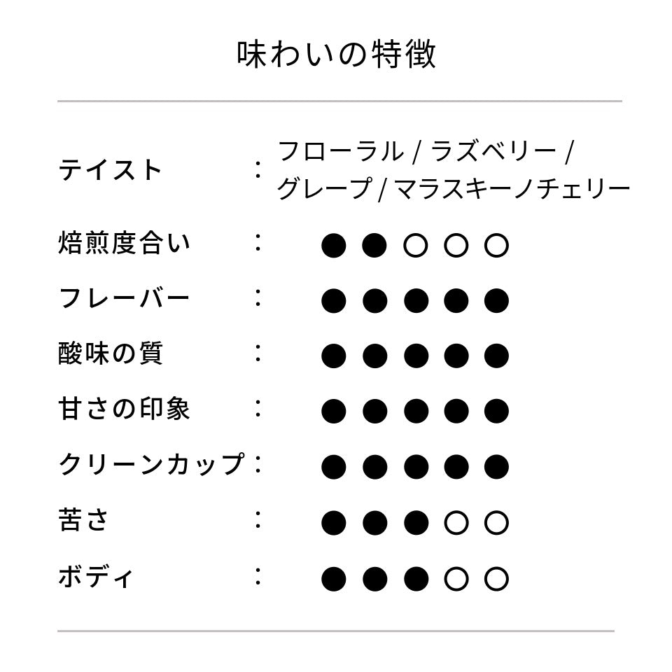 コロンビア サルサ農園 パパジョ トロピカルフルーツフォワードラッシュ