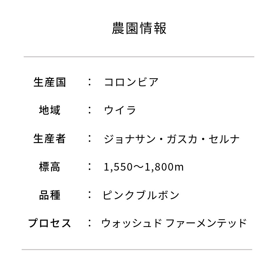コロンビア サルサ農園 ピンクブルボン ウォッシュド・ファーメンテッド