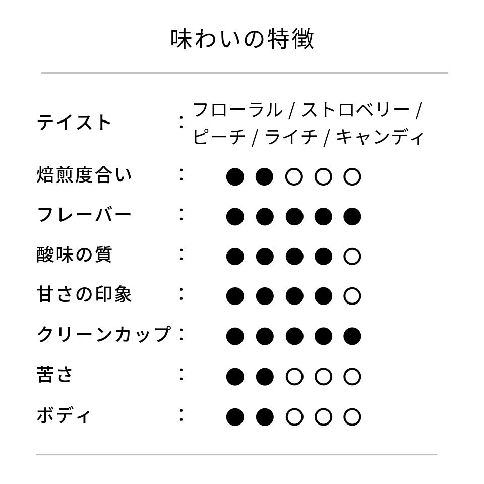 コロンビア サルサ農園 ピンクブルボン ウォッシュド・ファーメンテッド