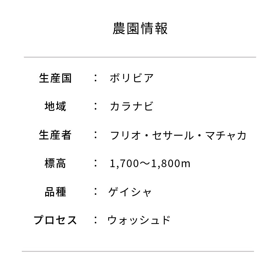 ボリビア ラス アルトゥラス農園 ゲイシャ ウォッシュド