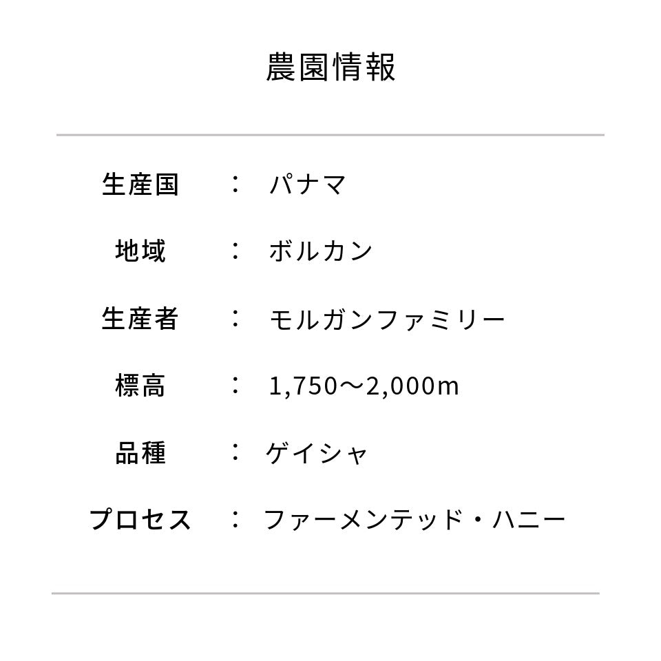 パナマ ロストオリジン ガレス農園 ゲイシャ ファーメンテッドハニー