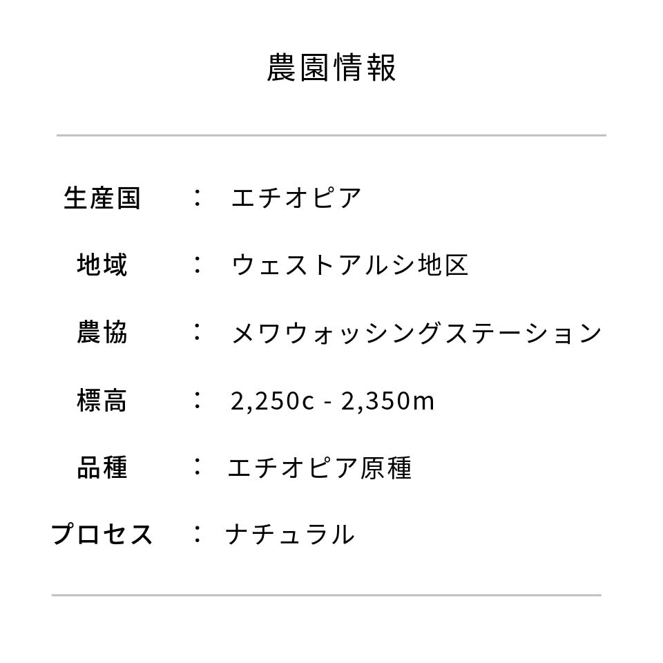 エチオピア メワ
