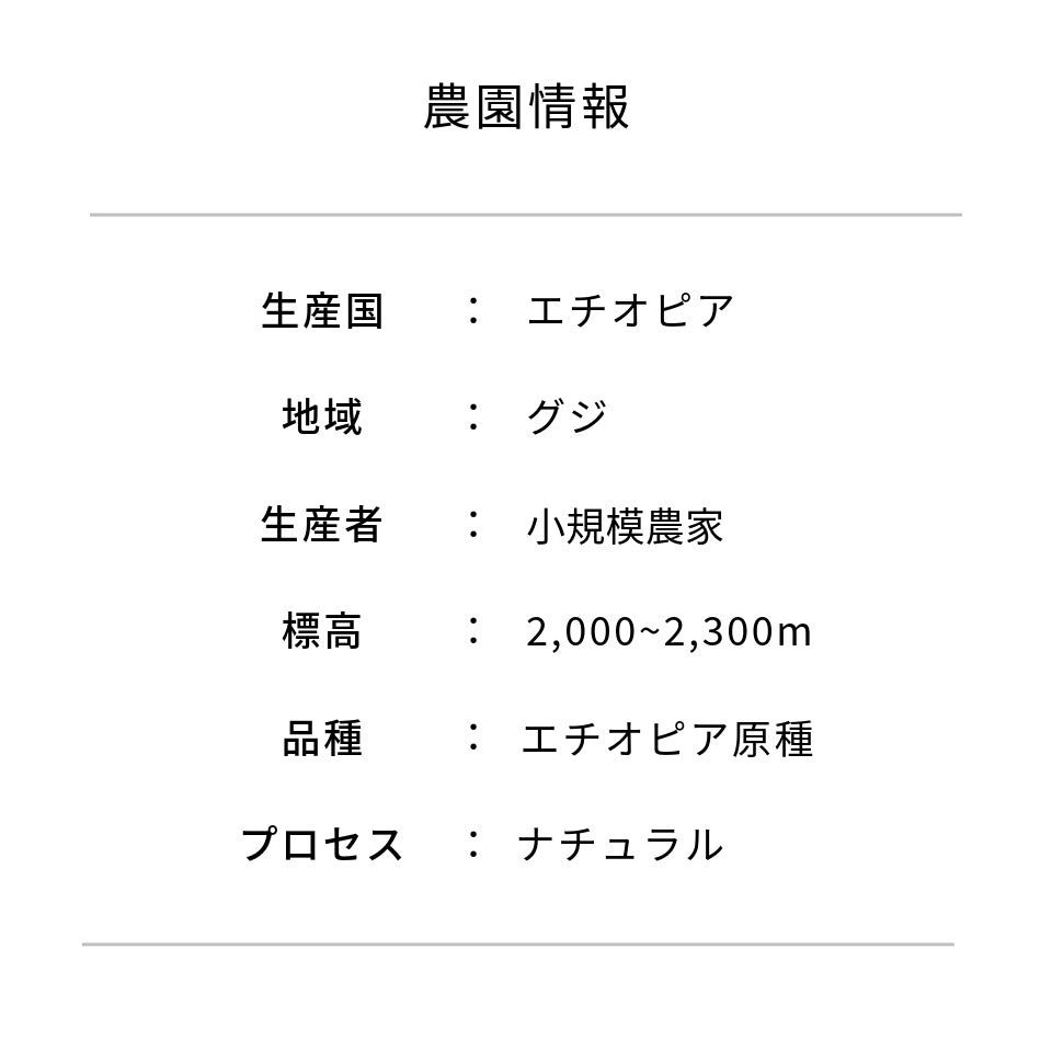 エチオピア ウラビースト ナチュラル