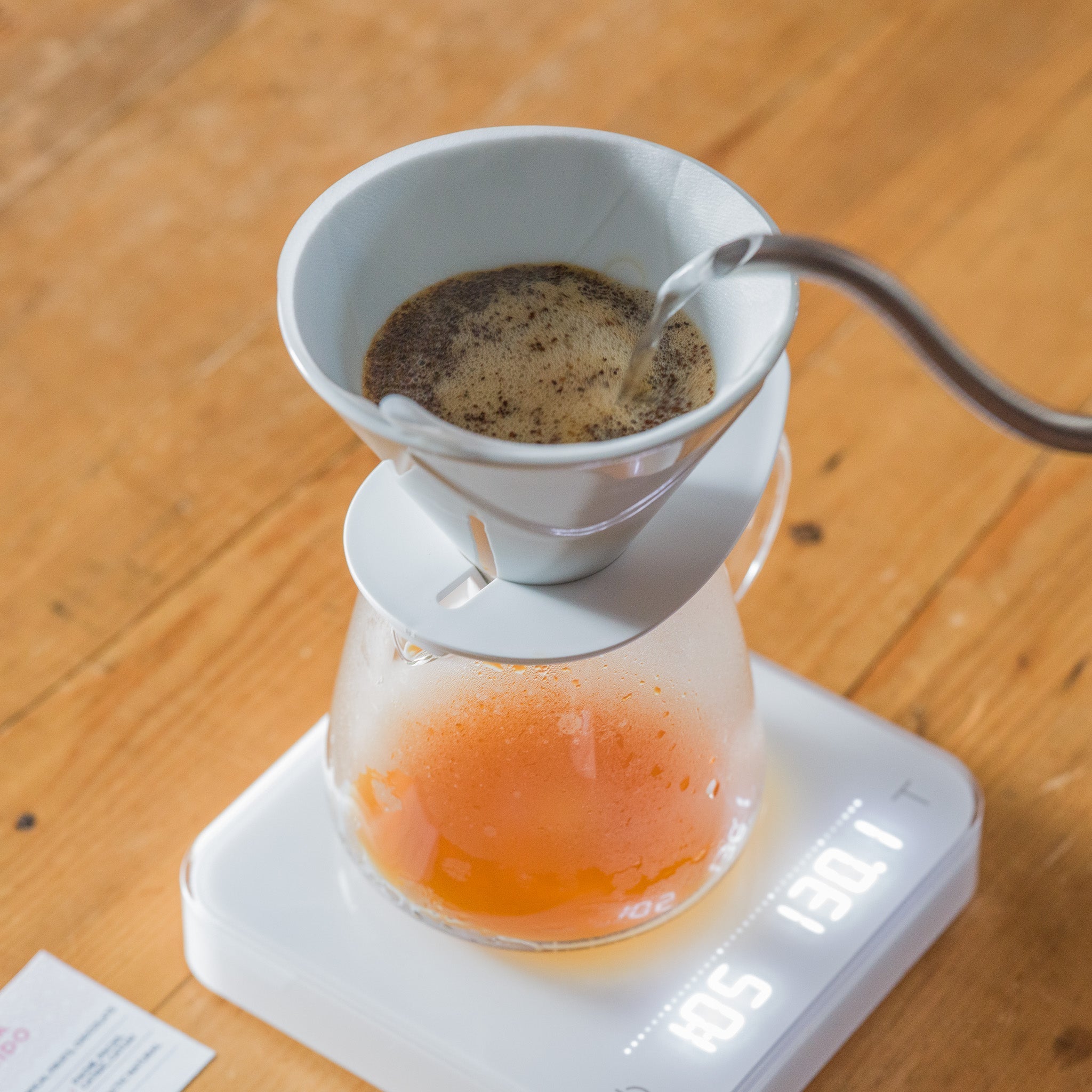 HARIO V60 MUGEN（陶器）- GUATEMALA EL COLORIDO