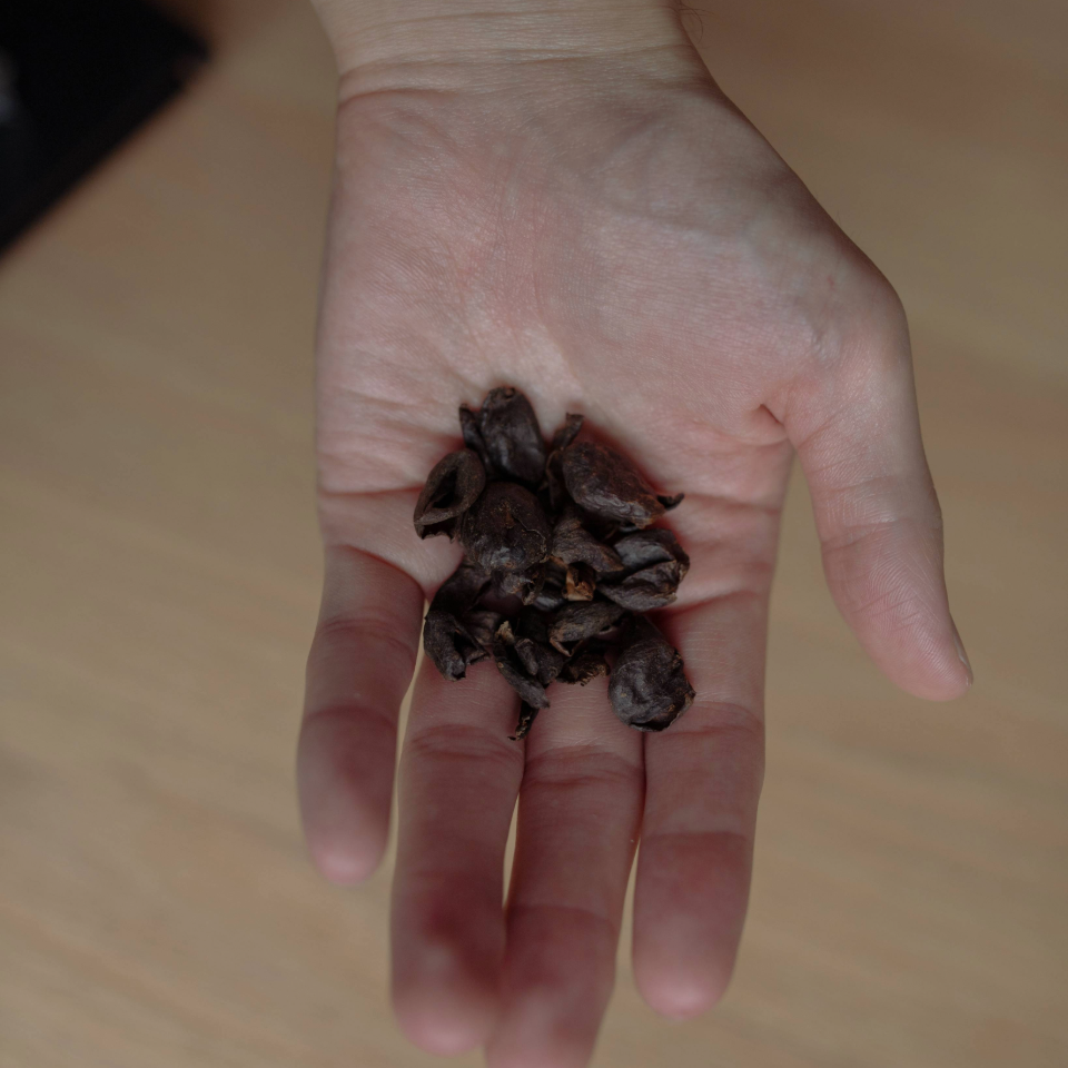 オーガニックカスカラ 50 g