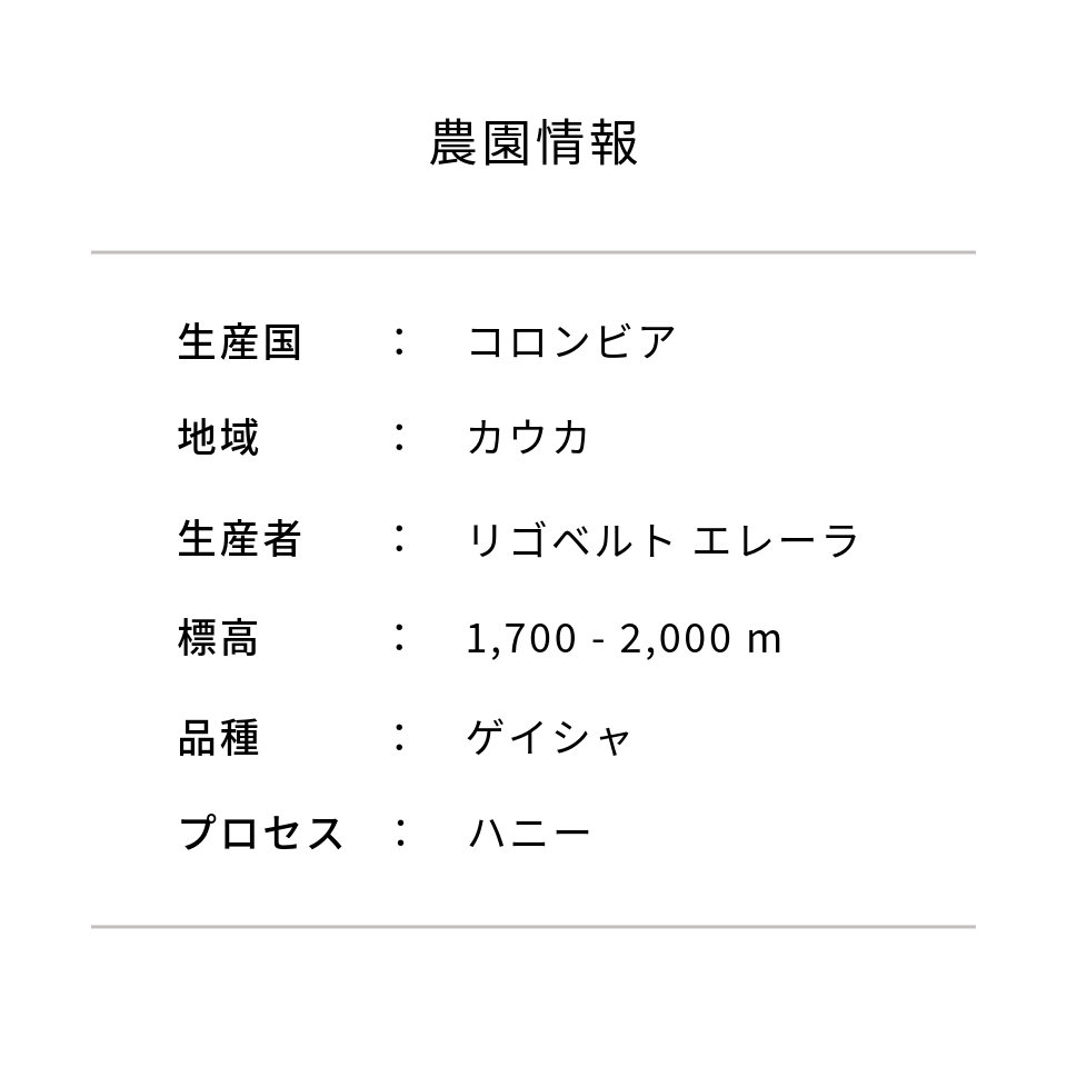 コロンビア セロ・アズール農園 ゲイシャ