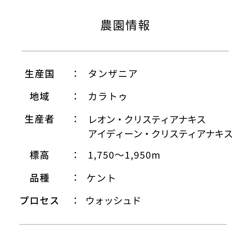 タンザニア アカシアヒルズ農園  ケント ウォッシュド