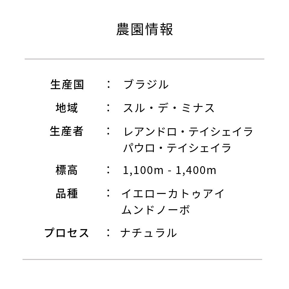ブラジル カラコル コミュニティー