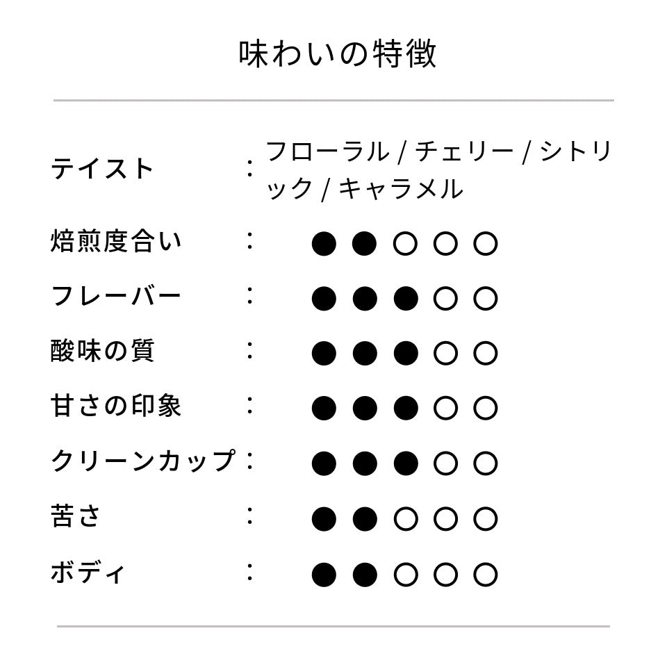 コーヒーバッグ5個セット「LIGHT BLEND」