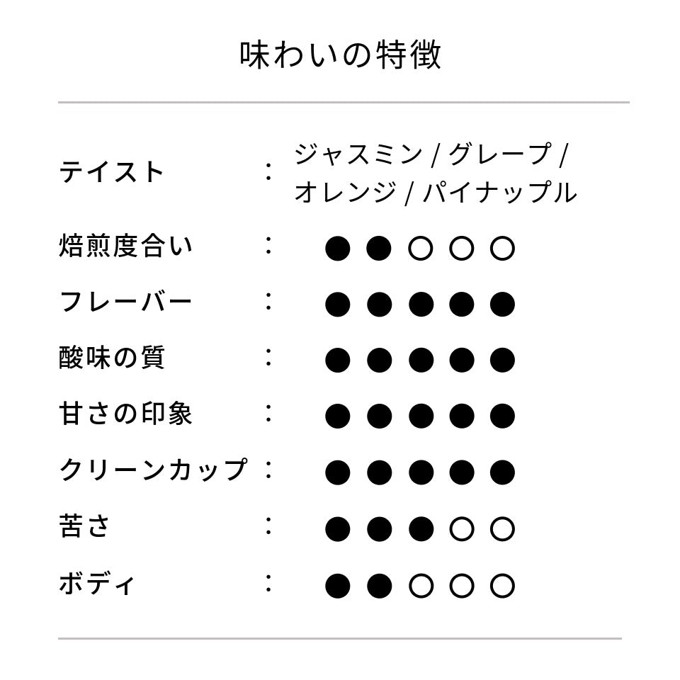 パナマ アイリス農園 ゲイシャ シンメトリー