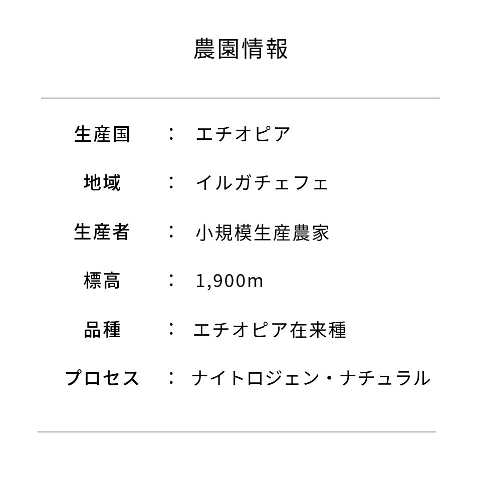 エチオピア コケ ナイトロジェン・ナチュラル