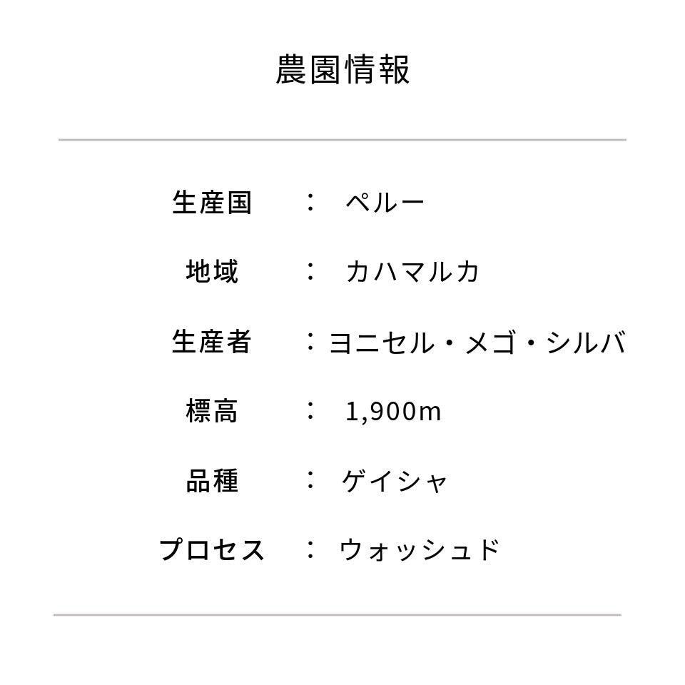 ペルー エル・ミラドール農園 ゲイシャ ウォッシュド