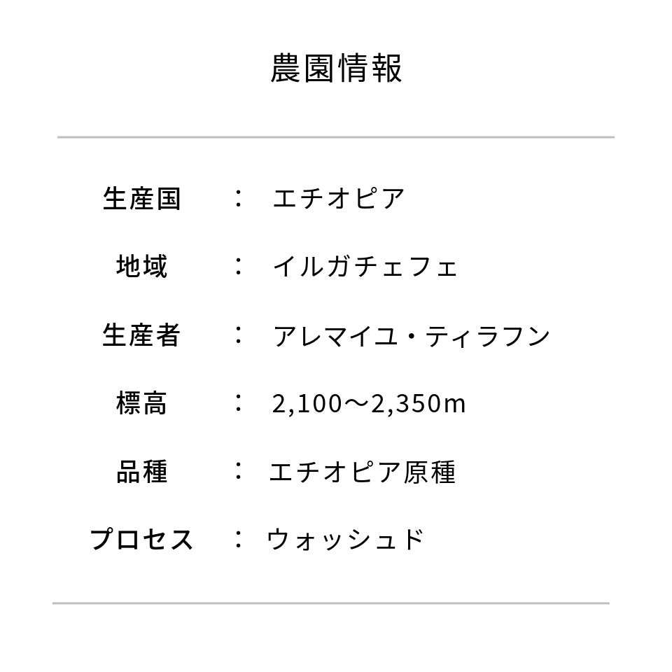 エチオピア ラレサ ウォッシュド
