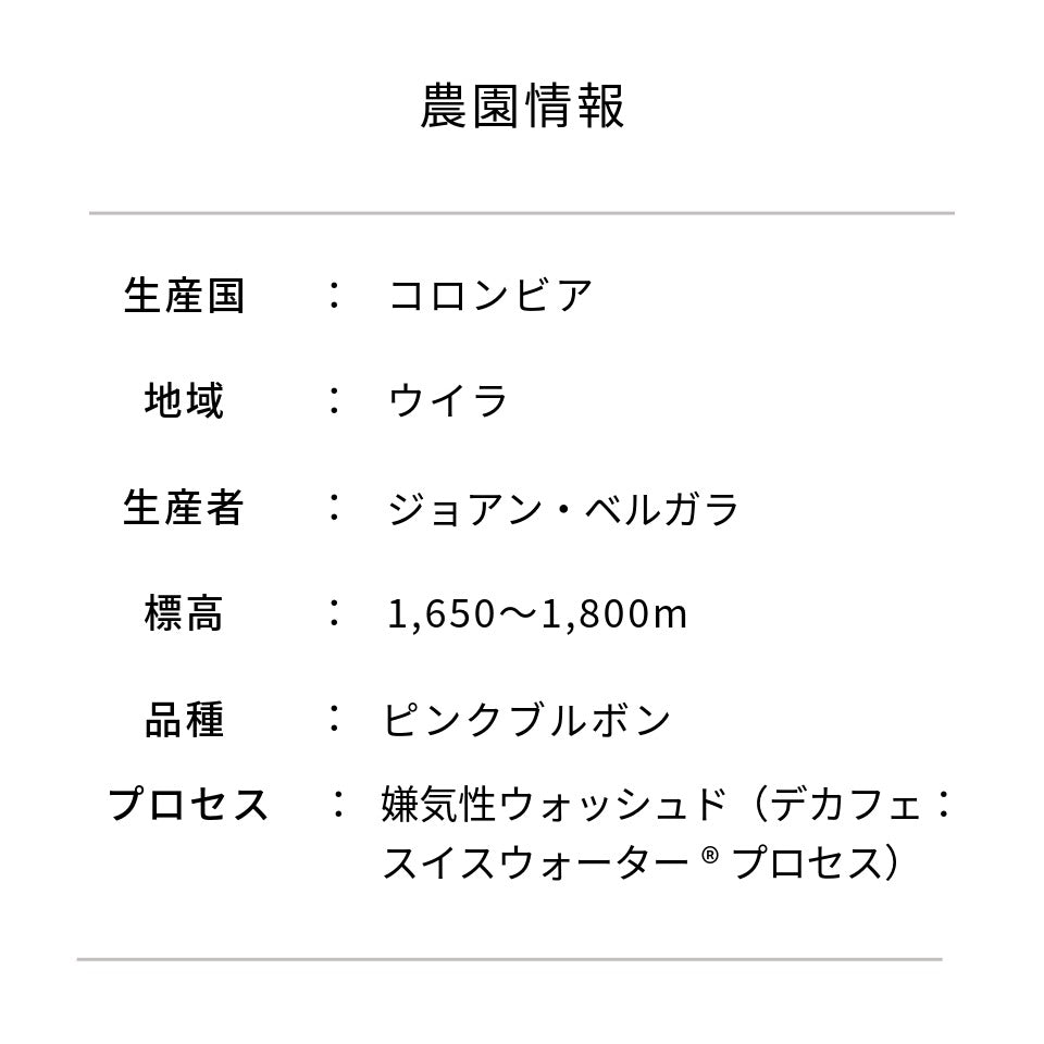 コロンビア ラス・フローレス農園 ピンクブルボン デカフェ