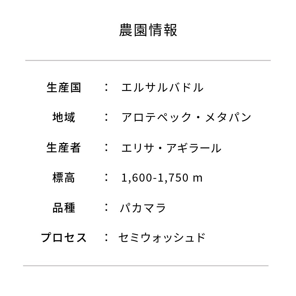 エルサルバドル ラス・ヴェンタナス農園 パカマラ セミウォッシュド