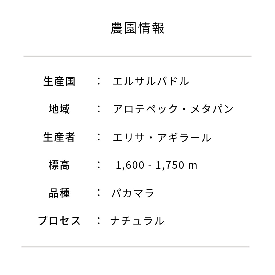 エルサルバドル ラス・ヴェンタナス農園 パカマラ ナチュラル - 生豆