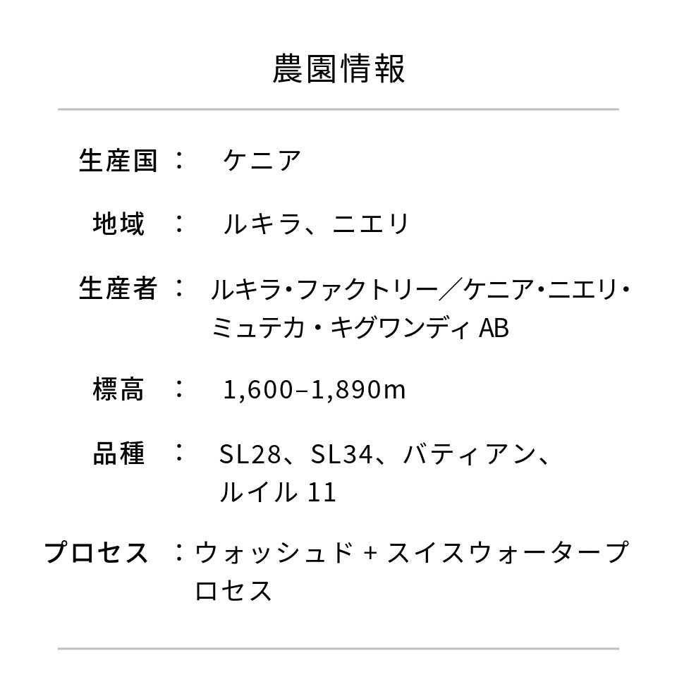 ケニア ムテカ（キグワンディ）+オタヤ デカフェ