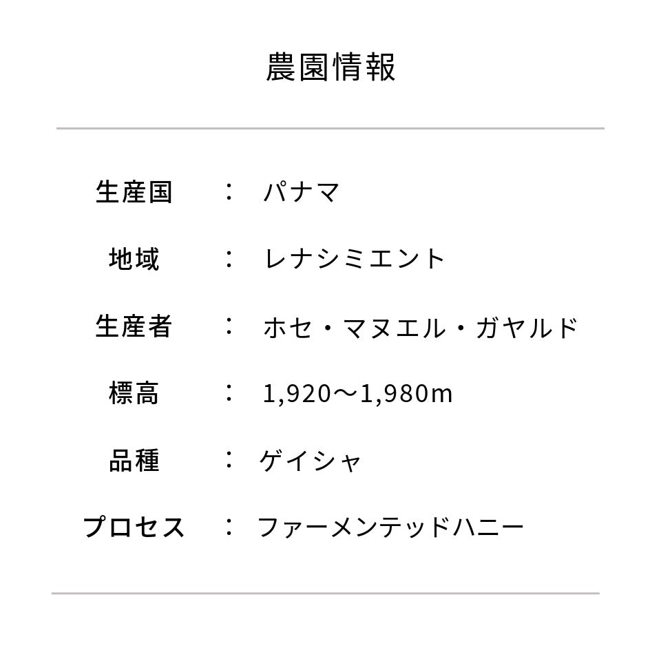 パナマ ヌグオ農園 ゲイシャ ファーメンテッドハニー